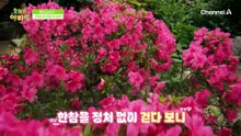 "아빠랑 여행 오니까 어때?" 장난 없는 솔직한 남자 준범! "안 좋아" 선언했다?!