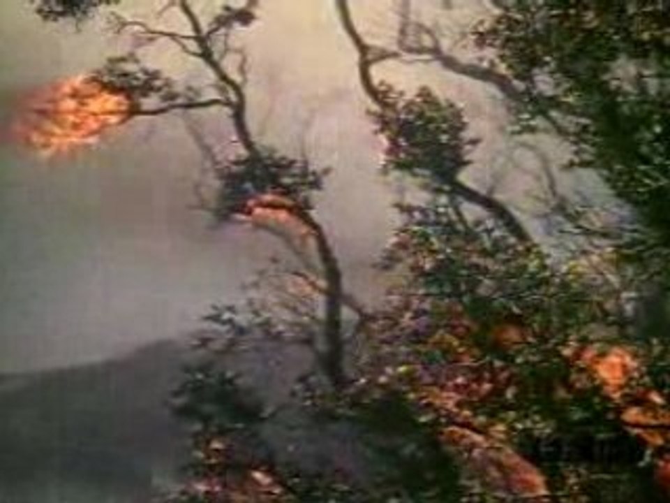 0000022274-lava00001-024