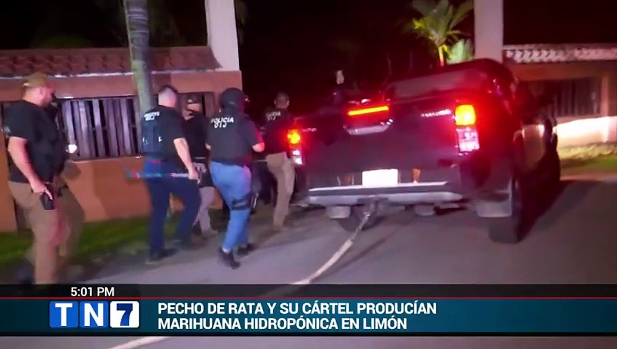 tn7-pecho-de-rata-incursiono-en-produccion-de-marihuana-hidroponica-revela-investigacion-300626 [Full Movie]
