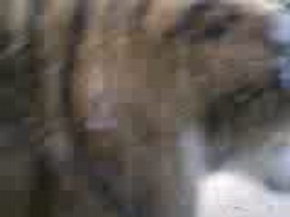Tigre