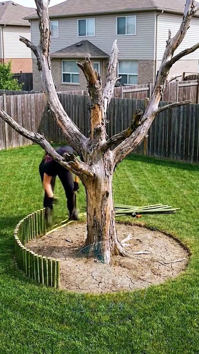Dead Tree Turned Into Backyard Fruit Garden! 🌳🍓 Amazing Transformation