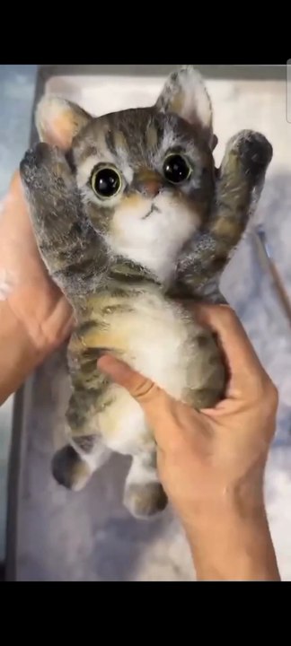 Wait for the reveal...This is NOT what you think it is! 🐱