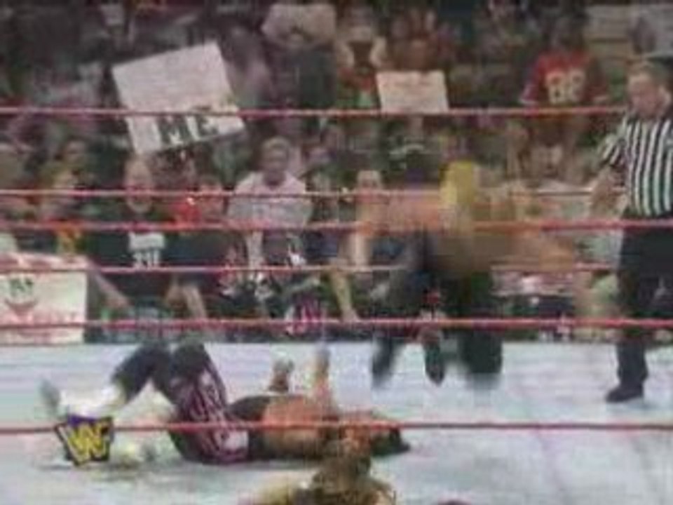 Bret Hart vs Triple H