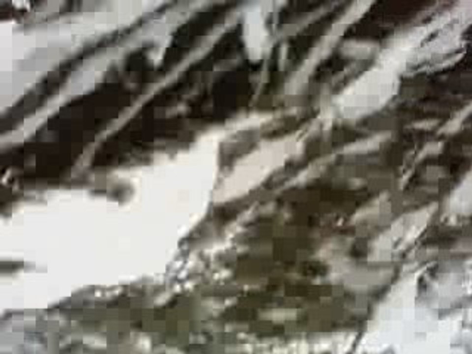 Team loosrider - Session ski Freestyle 2007-2008 (non fini)