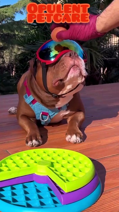 3-Layer Puzzle Slow Feeder – Non-Slip Anti-Choking Dog Bowl