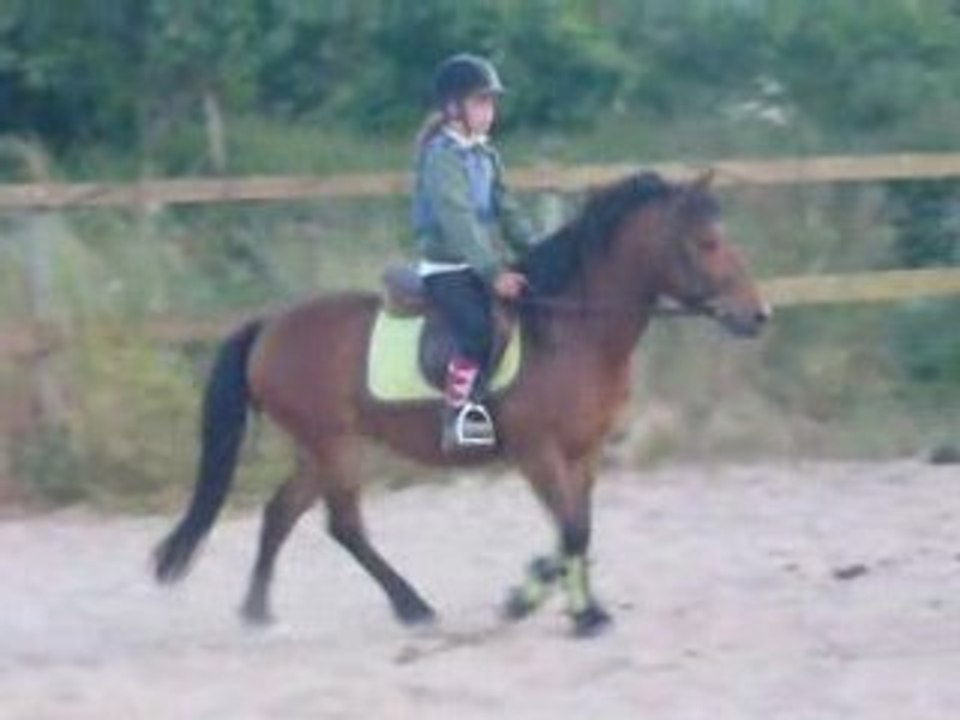 Girouette au pas