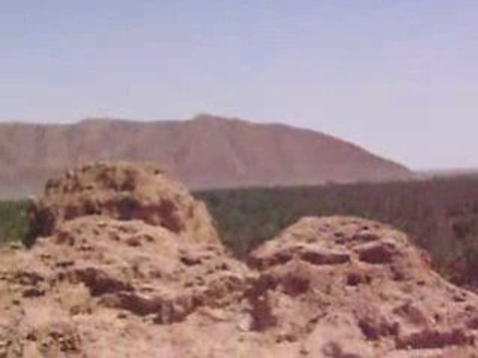 IMGP0194