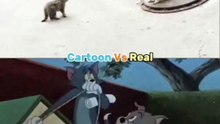 Cartoon vs Real