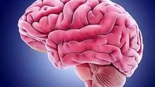 Top 10 amazing and intresting facts about human brain 🧠 _ in hindi #fact #shorts