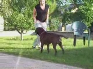 Arko obr entrainement juin_0001