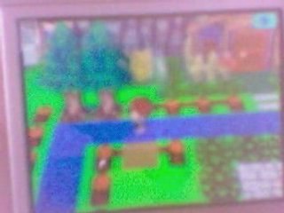 debut de ville zelda acww