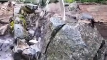Water Flowing from the Rock