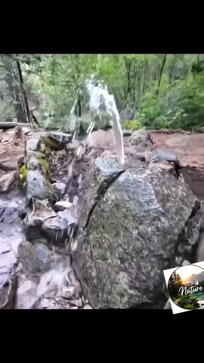 Water Flowing from the Rock