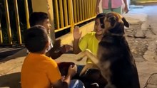 These Boys Treated a Stray Dog Like Family 🥹🐶