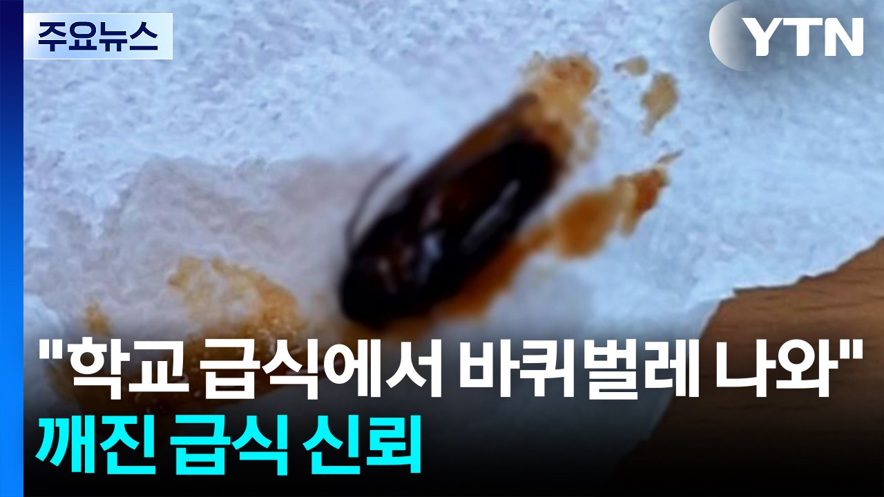 학교 급식에 벌레.."안심할 수 있는 급식 돼야" / YTN