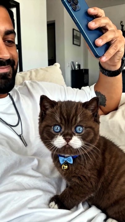 POV: You Think the Cat Loves You... Until She Gets Home 🥲🐱