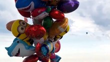 A Bird Tried to Steal His Balloons... 😂🦅🎈