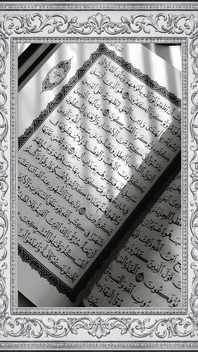 #EchoesOfTheQuran #LightOfTilawat #VoiceOfTheQuran #SoulfulTilawat #DivineRecitation #QuranMelodies #SacredRecitation #NoorOfQuran