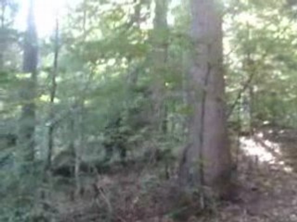 Video airsoft op 26 juin