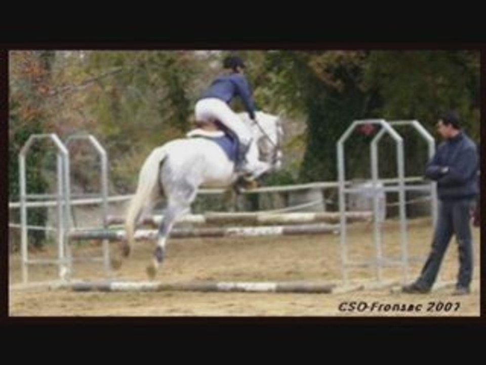 MON PYNOU D'ALBY_0002