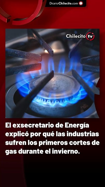 El exsecretario de Energía explicó por qué las industrias sufren los primeros cortes de gas durante el invierno.