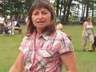 Entrée des chiens sur le terrain