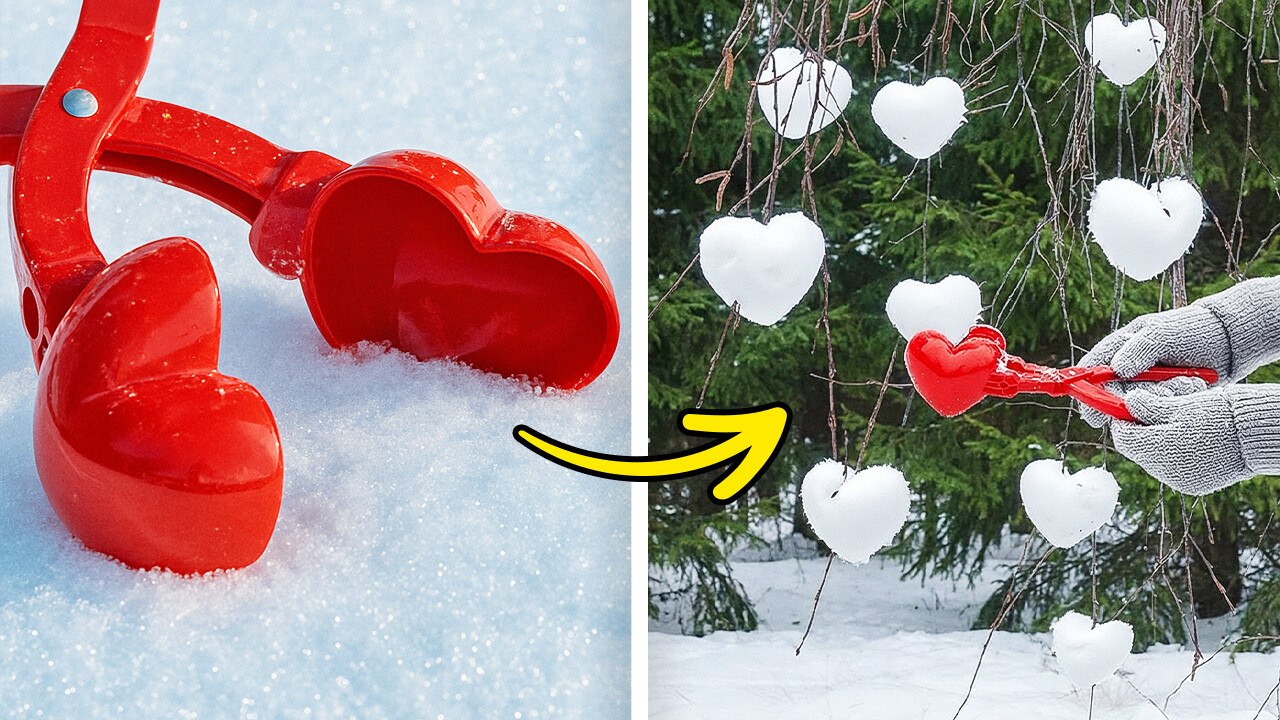 Creative Ways to Attract Birds Using Oranges in Your Garden
