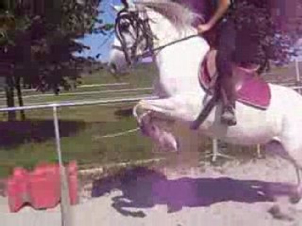 Au parc ( saut)