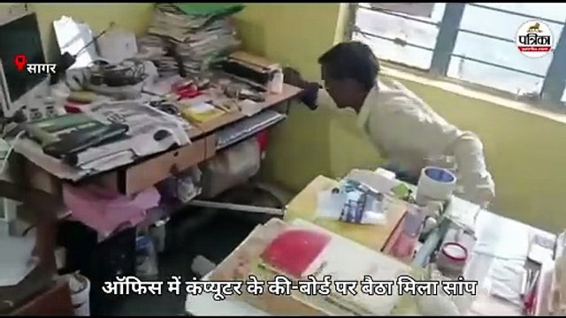ऑफिस में कंप्यूटर के कीबोर्ड पर बैठा मिला 8 फीट लंबा सांप, स्टाफ में मचा हड़कंप