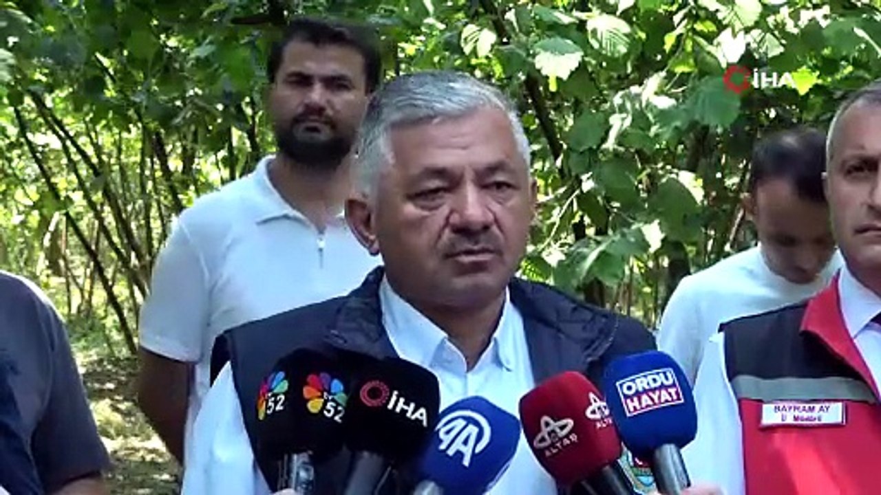 Ordu'da 130 bin çiftçinin ana ürünü fındıkta rekolte çalışmaları başladı