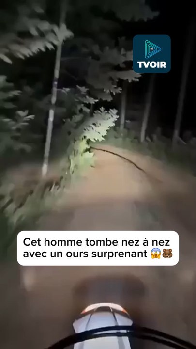 L’ours a parfaitement compris comment sauver sa peau… 🤣🕺