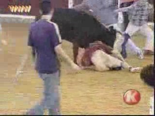 ridiculisé par un taureau