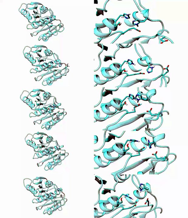 500ns_no_constraint_ALL_REPS_away_closer