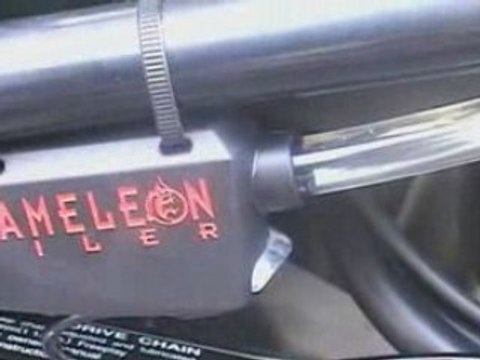 Film cameleon oiler pour site web imge mouvante_avi