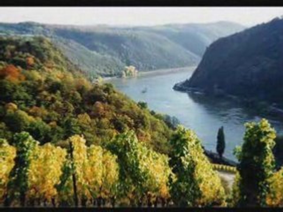 LE RHIN & LA LORELEI