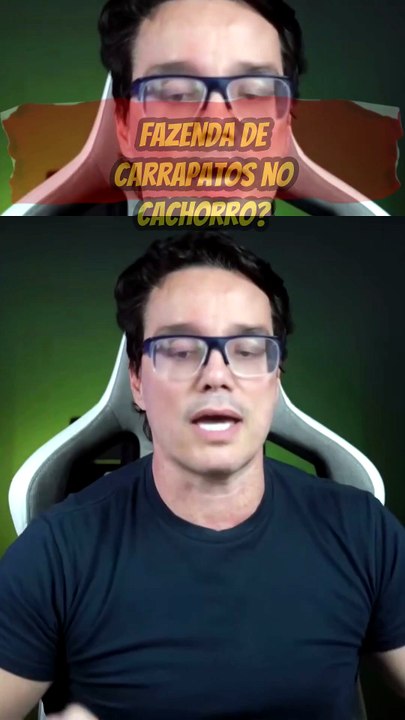 Fazenda-de-carrapatos-no-cachorro