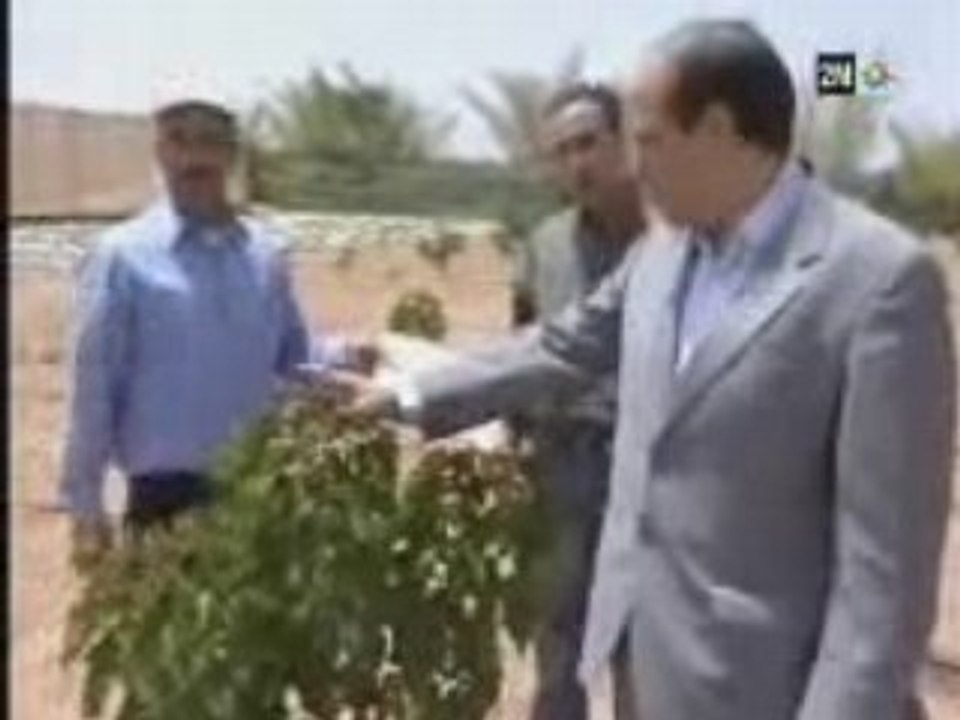 Biodiesel Jatropha au maroc