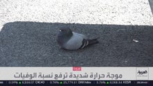 موجة حر تاريخية تضرب أوروبا.. وآلاف الوفيات في فرنسا وبلجيكا وهولندا