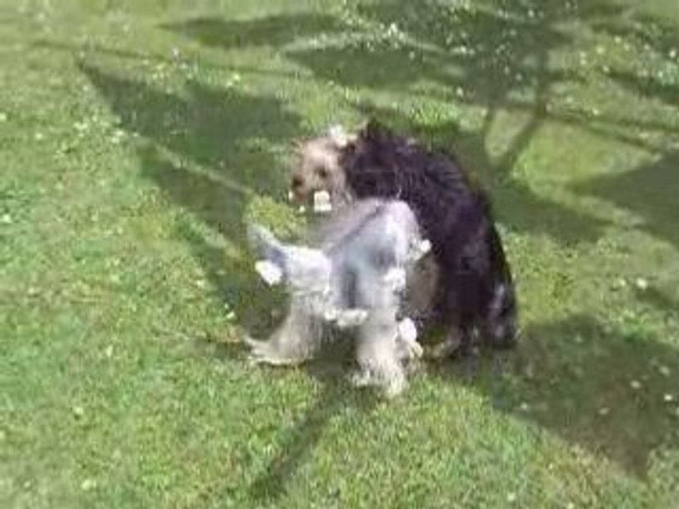 SAMEDI 28 JUIN 2008 025