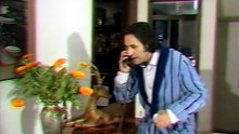 Ο Πεθερόπληκτος (1988)