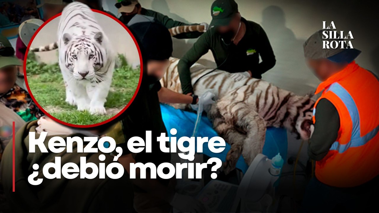 Muerte de "Kenzo": las contradicciones que rodean el operativo de rescate
