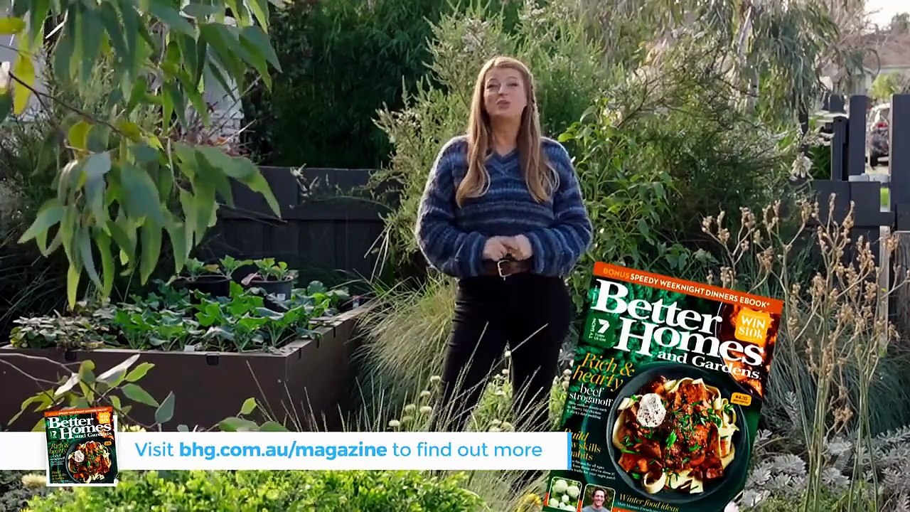 Better Homes and Gardens - Season 32 Episode 38