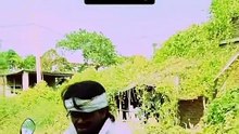 Amazing video clips