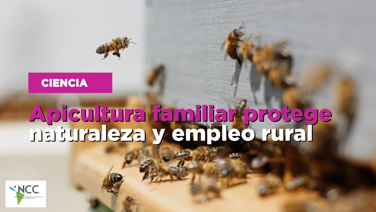 Apicultura familiar protege naturaleza y empleo rural