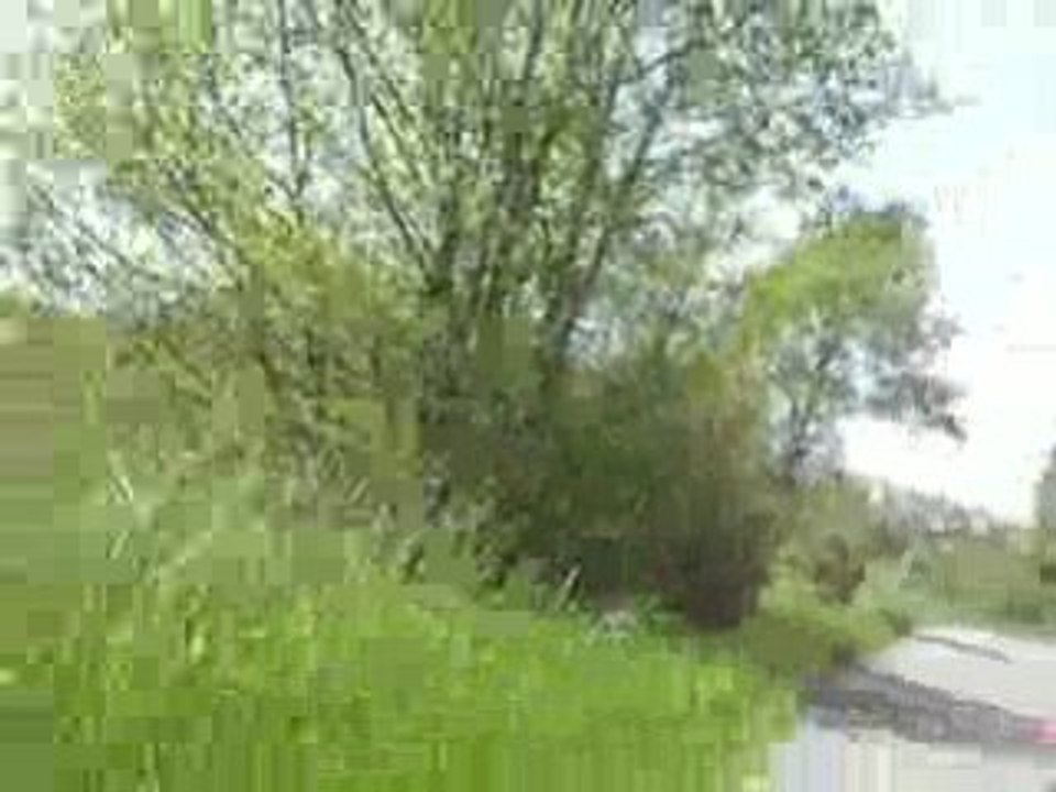 Promenade en voiture