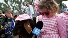 Alice Springs Show kicks off for its 67th year, more than 22,000 attendees expected