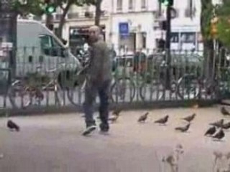 SPA ANIMAUX EN DANGER
