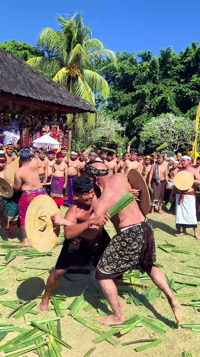 Tradisi Unik Desa Adat Tenganan Dauh Tukad Karangasem Bali  #PerangPandan #MekareKare #BudayaBali #ExploreBali #BaliAga