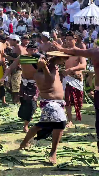 Tradisi Unik Desa Adat Tenganan Dauh Tukad Karangasem Bali  #PerangPandan #MekareKare #BudayaBali #ExploreBali #BaliAga