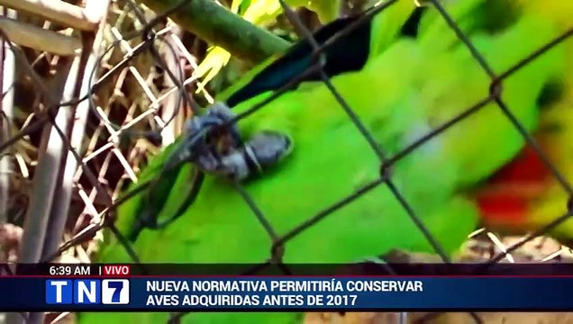 tn7-propuesta-para-cautiverio-de-aves-silvestres-enciende-alarmas-en-expertos-050526 [Full Movie]